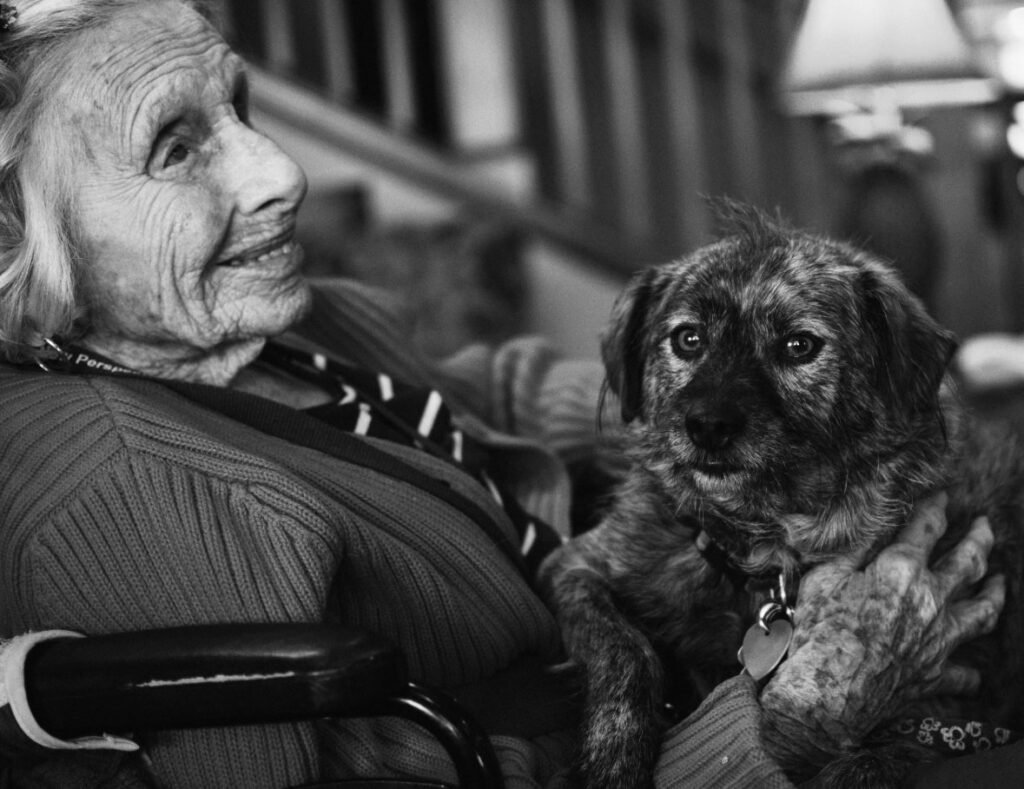 grandma dog